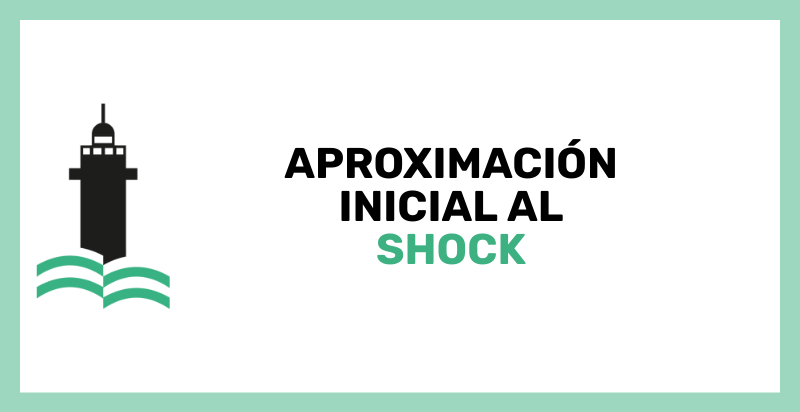 Aproximación incial al shock