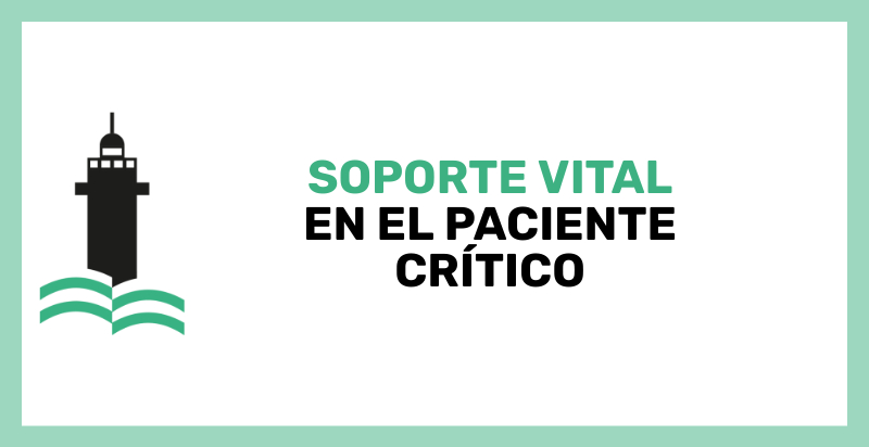 Soporte vital en el paciente crítico