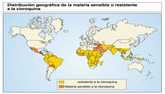 Distribución Paludismo Malaria