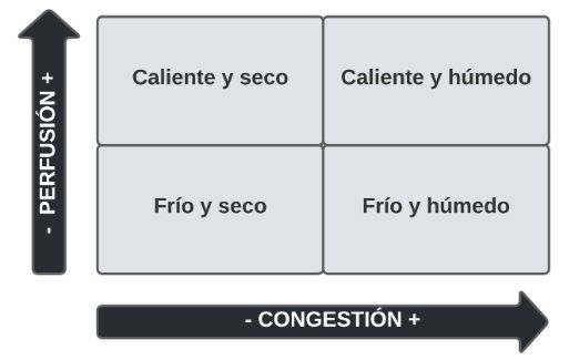 clasificación ic