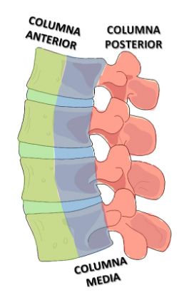 esquema columna