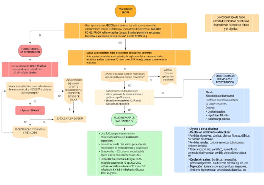 fluidoterapia urgencias valoración