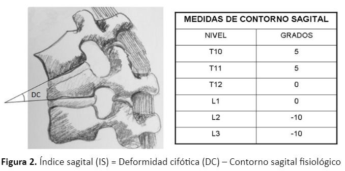 medidas contorno sagital