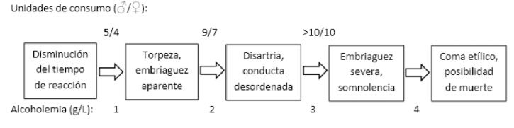 unidades consumo alcohol
