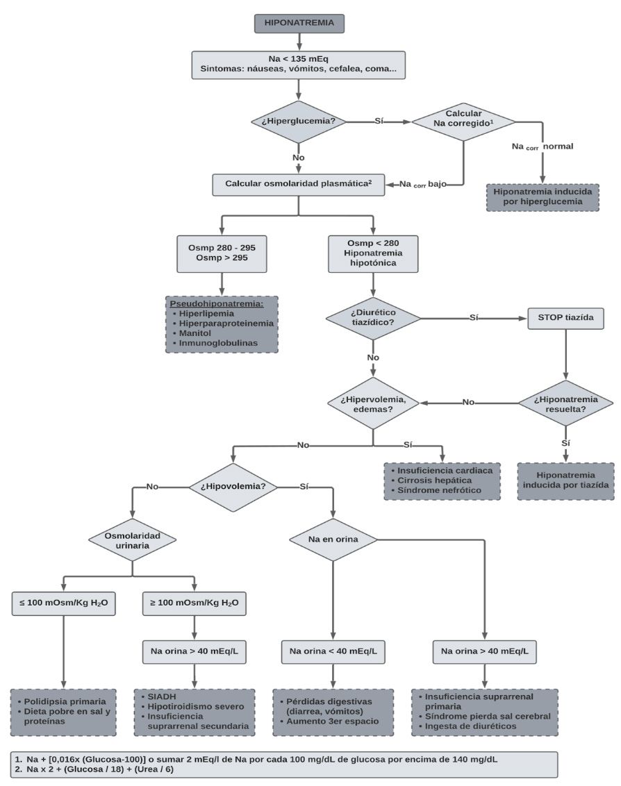Algoritmo Hiponatremia