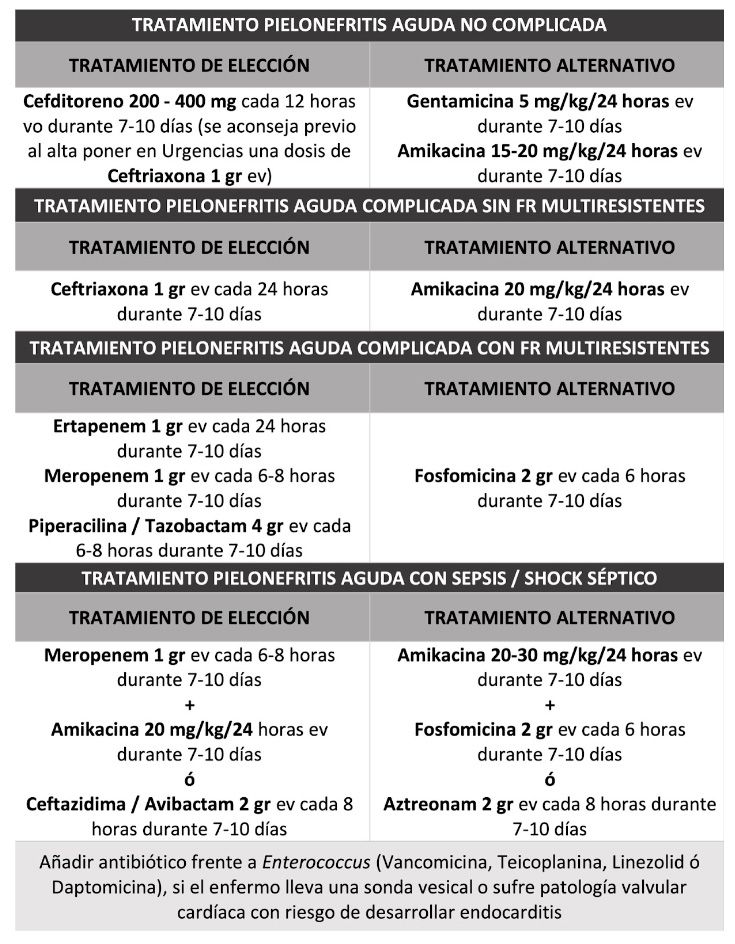 Pielonefritis aguda no complicada