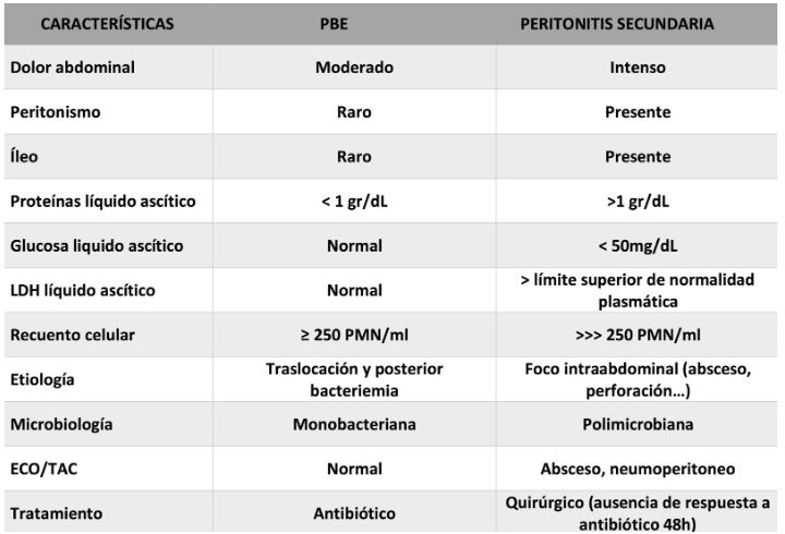 características líquido