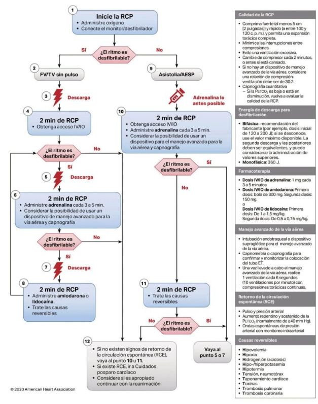 rcp aha 2