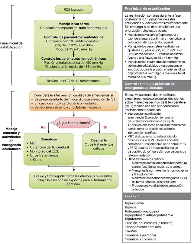 rcp aha 3