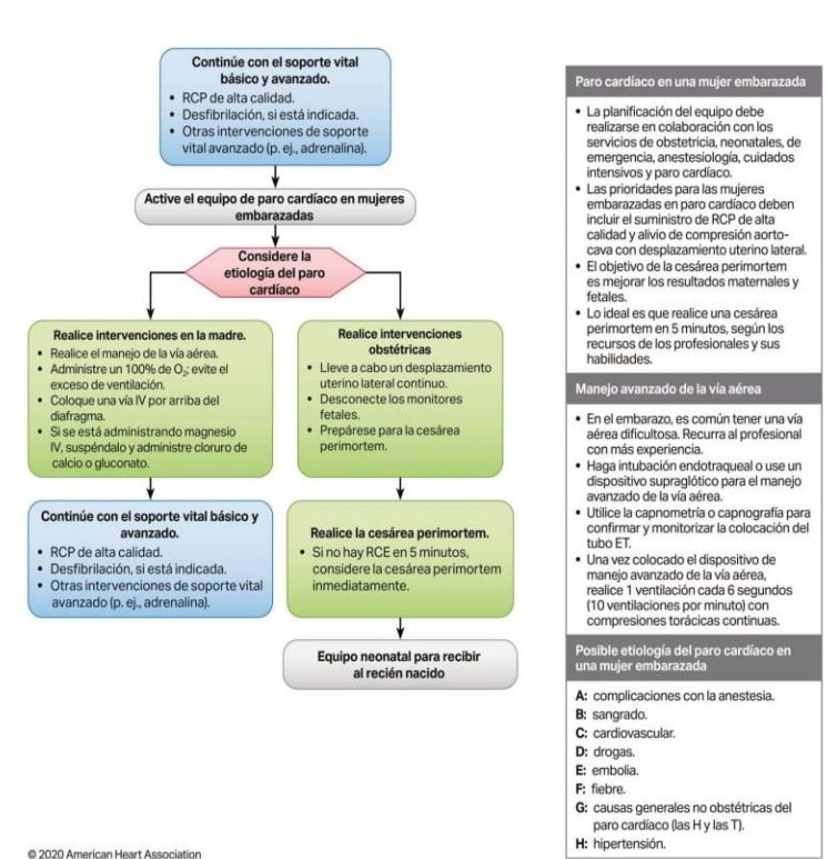 rcp aha 5